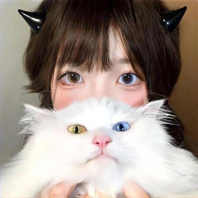 独行神枪侠